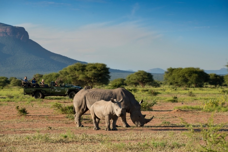 Zuid-Afrika….maar dan wel op onze manier